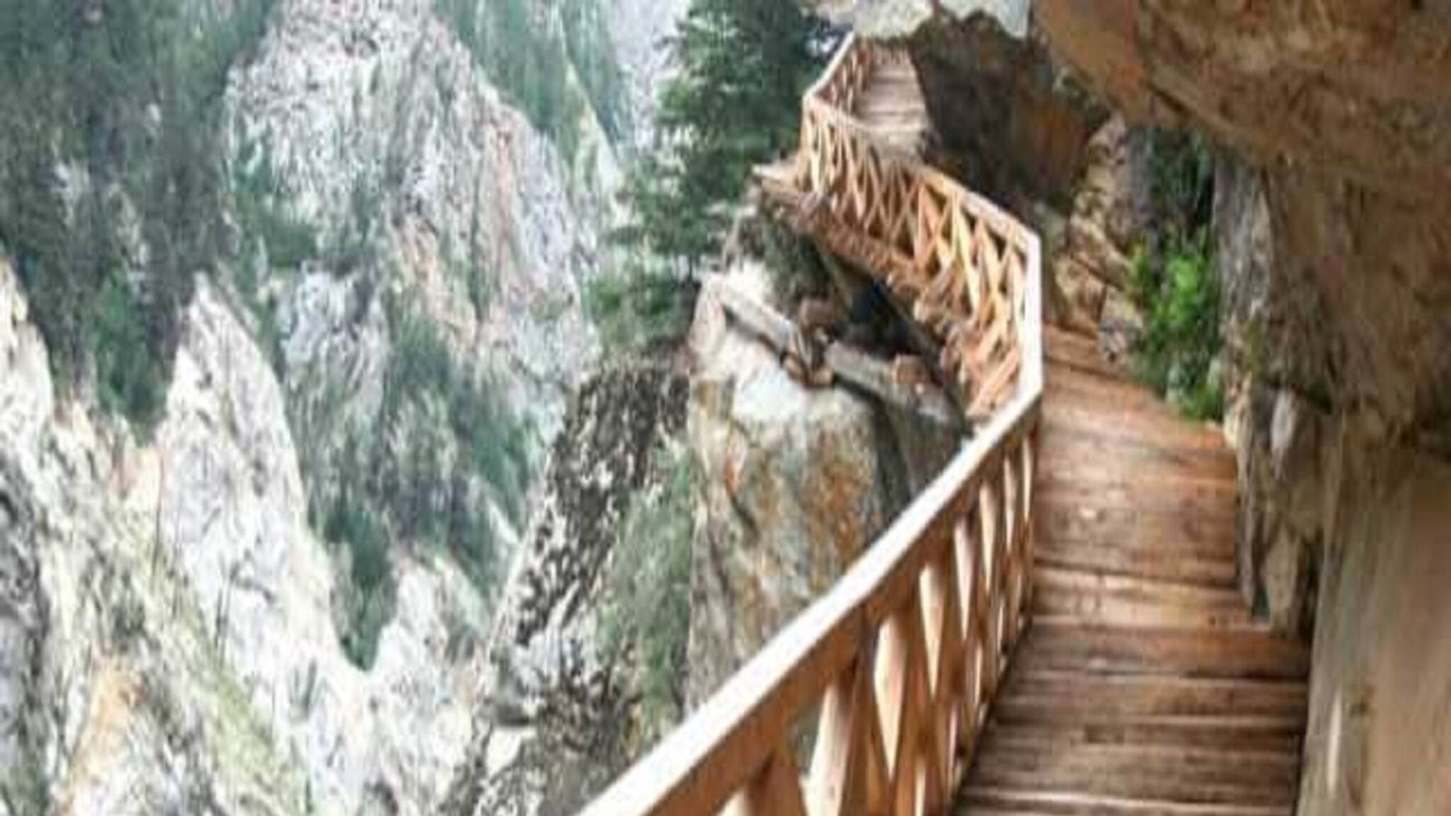 Explained: সৌন্দর্য-রোমাঞ্চের শেষ কথা ! খাড়া পাহাড়ে গারতাং গলির কাঠের সেতু কেন পর্যটকদের এত প্রিয়?