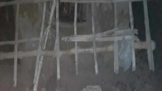 প্রতীকী ছবি