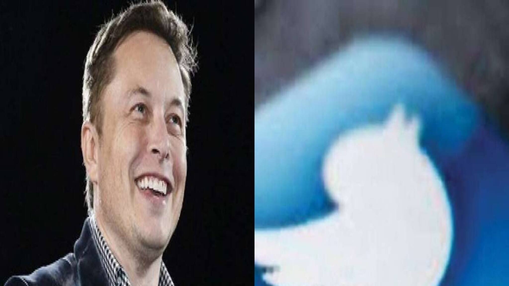 Explained: ব্যক্তি মালিকানায় যাওয়ার পর কী পরিবর্তন আসবে ট্যুইটারে?