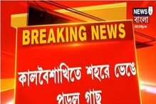 কলকাতায় কালবৈশাখী, শহরের বিভিন্ন জায়গায় ভেঙে পড়ল গাছ, রাস্তা আটকে বিপত্তি কলকাতায় কালবৈশাখী, শহরের বিভিন্ন জায়গায় ভেঙে পড়ল গাছ, রাস্তা আটকে বিপত্তি