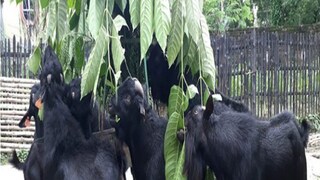 প্রতীকী ছবি