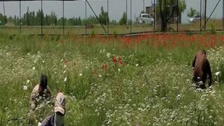 কম খরচে এই লাভজনক ব্যবসা শুরু করুন, মাসে ২ লাখ টাকা পর্যন্ত আয় হবে কম খরচে এই লাভজনক ব্যবসা শুরু করুন, মাসে ২ লাখ টাকা পর্যন্ত আয় হবে