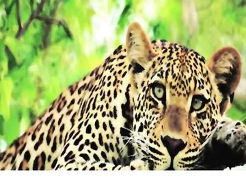 প্রতীকী ছবি