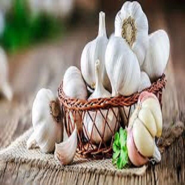 হাই ডায়বেটিস বা উচ্চ ব্লাড সুগার নিয়ন্ত্রণে কাঁচা রসুন অত্যন্ত পরিমাণে কাজে আসে ৷ এতে ব্লাড সুগারের স্তর বা ব্লাড সুগার লেবেল নিয়ন্ত্রণে থাকে ৷ এতে অ্যান্টিবায়োটিক গুণ ডায়বেটিসের রোগের ক্ষেত্রে বিশেষ ভাবে কার্যকর হয় ৷ প্রতীকী ছবি ৷ 