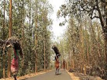 জঙ্গলমহলে আতঙ্ক