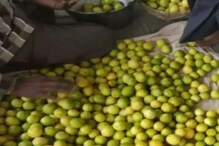লেবুতে হাত দিলেই ছ্যাঁকা লাগছে মধ্যবিত্তের, হঠাত্ এতটা দাম বেড়ে যাওয়ার কারণ কী? লেবুতে হাত দিলেই ছ্যাঁকা লাগছে মধ্যবিত্তের, হঠাত্ এতটা দাম বেড়ে যাওয়ার কারণ কী?