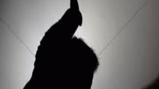 প্রতীকী ছবি৷ প্রতীকী ছবি৷