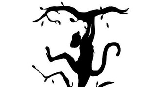 Viral Optical Illusion Viral Optical Illusion