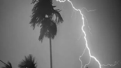 Photo: Representative Photo: Representative