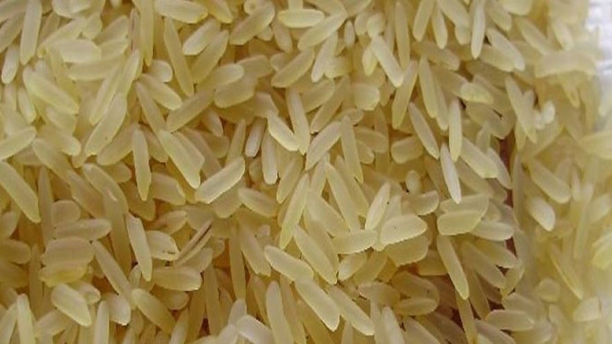 Explained: আধ-সেদ্ধ চাল কী জানেন, কিন্তু কেন্দ্র আর কিনতে চাইছে না