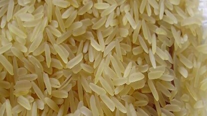 মাঝেমাঝে চাল কেনার পর কয়েক দিনের মধ্যেই দেখা যায় তাতে পোকা হয়ে গিয়েছে। আর সেই চাল যদি একটু পুরনো হয়, তবে তো কথাই নেই। এক এক করে চালের পোকা দূর করা বেশ পরিশ্রমের কাজ৷ তাহলে উপায় কী? কী করে তাড়াবেন চালের পোকা? মাঝেমাঝে চাল কেনার পর কয়েক দিনের মধ্যেই দেখা যায় তাতে পোকা হয়ে গিয়েছে। আর সেই চাল যদি একটু পুরনো হয়, তবে তো কথাই নেই। এক এক করে চালের পোকা দূর করা বেশ পরিশ্রমের কাজ৷ তাহলে উপায় কী? কী করে তাড়াবেন চালের পোকা?