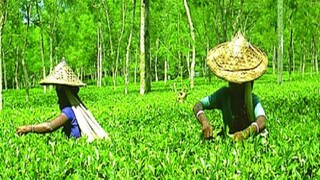 প্রতীকী ছবি