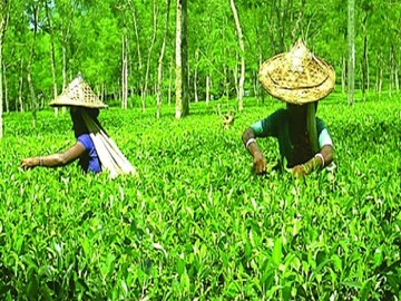 প্রতীকী ছবি