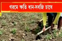 গরমের আঁচে চাষের জমি শুকিয়ে কাঠ, চাষিদের মাথায় হাত! গরমের আঁচে চাষের জমি শুকিয়ে কাঠ, চাষিদের মাথায় হাত!