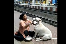 ইউটিউবে গান না চালালে খাবার খায় না কুকুর! ক্যান্টনমেন্ট স্টেশনের কুটুস ভাইরাল ইউটিউবে গান না চালালে খাবার খায় না কুকুর! ক্যান্টনমেন্ট স্টেশনের কুটুস ভাইরাল