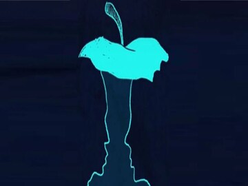 ভাইরাল ভিডিও অপটিক্যাল ইলিউশন 