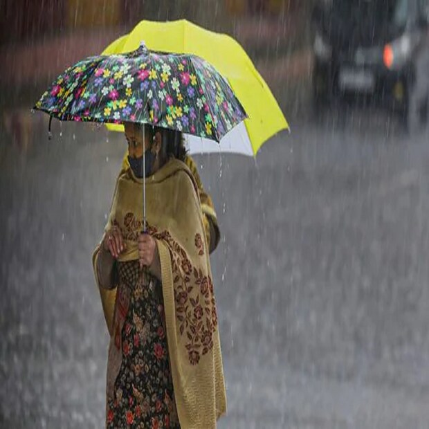 দক্ষিণবঙ্গে বৃষ্টির কোন সম্ভাবনা নেই। মূলত আংশিক মেঘলা আকাশ উপকূলীয় জেলাগুলোতে মেঘলা আকাশের সম্ভাবনা বেশি। রাতে ও সকালে হালকা হাওয়ার সম্ভাবনা। 