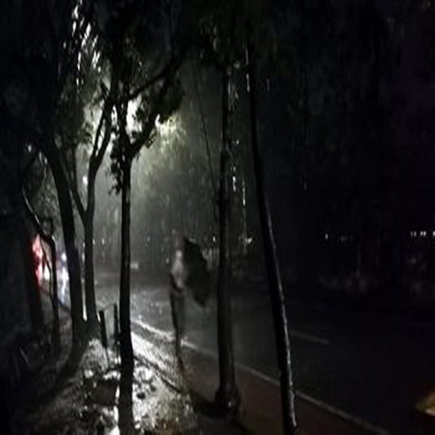 ঘূর্ণাবর্ত হয়েছে উড়িষ্যা উপকূল এবং পূর্ব-মধ্য আরব সাগরে। পূর্ব-মধ্য আরব সাগরে একটি ঘূর্ণাবর্ত হয়েছে তার সঙ্গে অক্ষরেখা। আরো একটি পূর্ব-পশ্চিম অক্ষরেখা রয়েছে হরিয়ানা থেকে অসম পর্যন্ত। এই অক্ষরেখাটি উত্তর প্রদেশ বিহার উত্তরবঙ্গ সিকিমের উপর দিয়ে গিয়েছে।