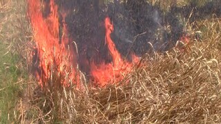 প্রতীকী ছবি