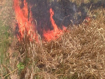 প্রতীকী ছবি
