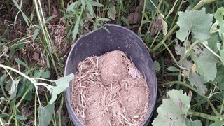 কী মিলল ?