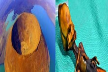 এই ৫টি ঘটনা, কোন ব্যাখ্যা নেই, চমকে উঠেছেন বিজ্ঞানীরাও! জানেন কী কী?