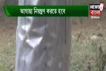 মিশ্র সবজি চাষ, আমবাগানের পরিচর্যা, কৃষি সংক্রান্ত সেরা টিপস পেতে দেখুন অন্নদাতা