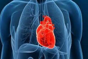 শরীরে Good Cholesterol বৃদ্ধিতে ধূমপান-সহ এই সমস্ত ক্ষতিকারক স্বভাব বর্জন করুন
