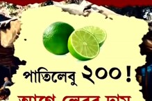 মধ্যবিত্তের মাথায় হাত! পাল্লা দিয়ে বাড়ল খাদ্য দ্রব্যের দাম, আরও দামি সবজি-মাছ মধ্যবিত্তের মাথায় হাত! পাল্লা দিয়ে বাড়ল খাদ্য দ্রব্যের দাম, আরও দামি সবজি-মাছ