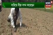 জমিকে আগাছামুক্ত করে ঢ্যাঁড়শ চাষ করার পদ্ধতি জেনে নিতে দেখুন অন্নদাতা