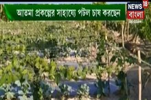 লাভজনক পটল চাষ, কীভাবে রোগপোকার হাত থেকে বাঁচাবেন পটলকে? দেখুন অন্নদাতা