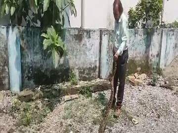 Bangla News