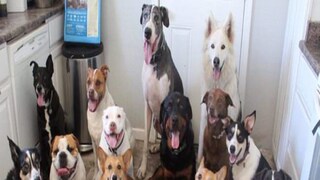 Viral News (প্রতীকী ছবি) Viral News (প্রতীকী ছবি)