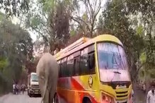 ঝাড়গ্রামের রাস্তায় ঘুরে বেড়াচ্ছে হাতি, দেখুন কী কাণ্ড! ঝাড়গ্রামের রাস্তায় ঘুরে বেড়াচ্ছে হাতি, দেখুন কী কাণ্ড!