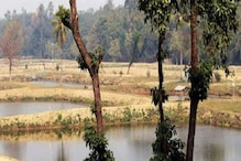 পর্যটকদের জন্য সুখবর, খুলতে চলেছে সাগরদিঘি ইকোপার্ক! পর্যটকদের জন্য সুখবর, খুলতে চলেছে সাগরদিঘি ইকোপার্ক!