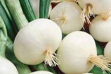 White onion benefits: পুরুষদের জন্য দারুণ উপকারি ! স্যালাডে বেশি পরিমাণে যোগ করতে হবে এই সবজি White onion benefits: পুরুষদের জন্য দারুণ উপকারি ! স্যালাডে বেশি পরিমাণে যোগ করতে হবে এই সবজি