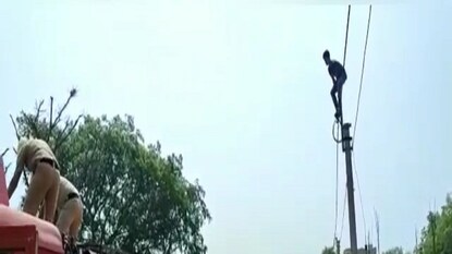 Hoogly News: mentally ill youth gets up in electric poll Hoogly News: mentally ill youth gets up in electric poll