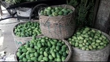 ঝুড়ি