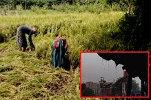 অশনির ভ্রুকুটি! সময়ের আগেই জমির ফসল কেটে ঘরে তুলছেন জেলার চাষিরা অশনির ভ্রুকুটি! সময়ের আগেই জমির ফসল কেটে ঘরে তুলছেন জেলার চাষিরা