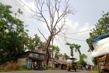 বিপদজনক গাছ কাটার আবেদন নিয়ে প্রশাসনের দ্বারস্থ স্থানীয় মানুষ বিপদজনক গাছ কাটার আবেদন নিয়ে প্রশাসনের দ্বারস্থ স্থানীয় মানুষ