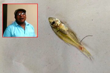 এই