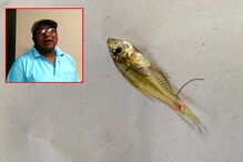 পুকুরে স্নান করতে নেমে কানে ঢুকলো জ্যান্ত মাছ! অসহ্য যন্ত্রণা, তারপর যা হল... পুকুরে স্নান করতে নেমে কানে ঢুকলো জ্যান্ত মাছ! অসহ্য যন্ত্রণা, তারপর যা হল...