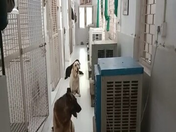 Paschim Bardhaman: dog squad is being kept under air cooler
