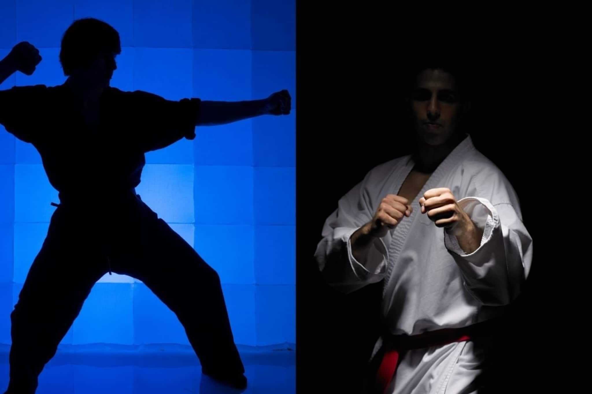 চিনা না জাপানি, কোন আত্মরক্ষার পদ্ধতি বেশি কার্যকরী?