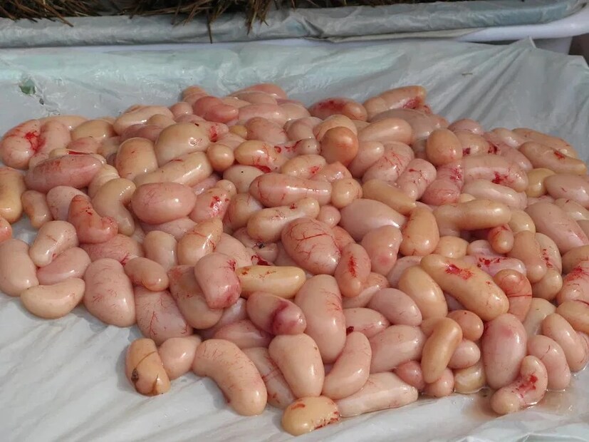 হংকং-এর রেস্তোরাঁর মেনু কার্ডে মোরগের অণ্ডকোষ থাকে। এই অণ্ডকোষ দেখতে বড় সাদা মটরশুটির মতো। সেদ্ধ বা ভাজা পরিবেশন করা হয়। এটি ভাত বা নুডুলসের সঙ্গে ঝোলের মধ্যে পরিবেশন করা হয়। হংকংয়ের লোকেরা রাতের খাবার হিসেবে এক বাটি মুরগির অণ্ডকোষ খেতে  বেশ পছন্দ করে।