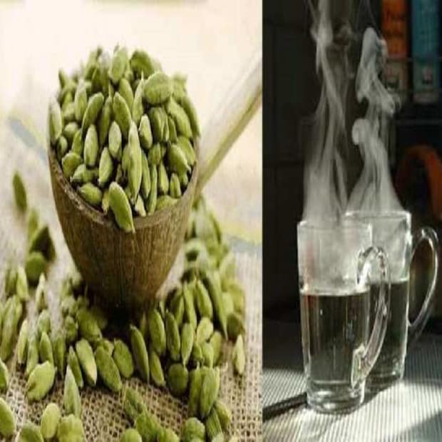 কী ভাবে বানাবেন এলাচ জল? রোজ রাতে শুতে যাওয়ার আগে এক গ্লাস জলে সাত-আটটি এলাচ দানা ভিজিয়ে দিন। সকালে উঠে জলটি ছেঁকে নিন। তার পরে খালি পেটে সেই জল খেয়ে ফেলুন। এলাচগুলিও রান্নায় ব্যবহার করতে পারেন। তাতে অসুবিধা নেই।