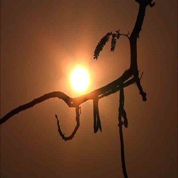 কলকাতায় রবিবার আংশিক মেঘলা আকাশ। বৃষ্টির সম্ভাবনা সামান্য। তাপমাত্রা বাড়বে,আর্দ্রতা জনিত অস্বস্তিও বেশি থাকবে। আজ সকালে সর্বনিম্ন তাপমাত্রা ২৭.২ ডিগ্রি সেলসিয়াস। স্বাভাবিকের ১° বেশি। গতকাল বিকেলে সর্বোচ্চ তাপমাত্রা ছিল ৩৫.৭ ডিগ্রি সেলসিয়াস যা স্বাভাবিক। বাতাসে আপেক্ষিক আর্দ্রতার পরিমাণ ৪৫ থেকে ৮৯ শতাংশ। বৃষ্টি হয়েছে ১.৩ মিলিমিটার।