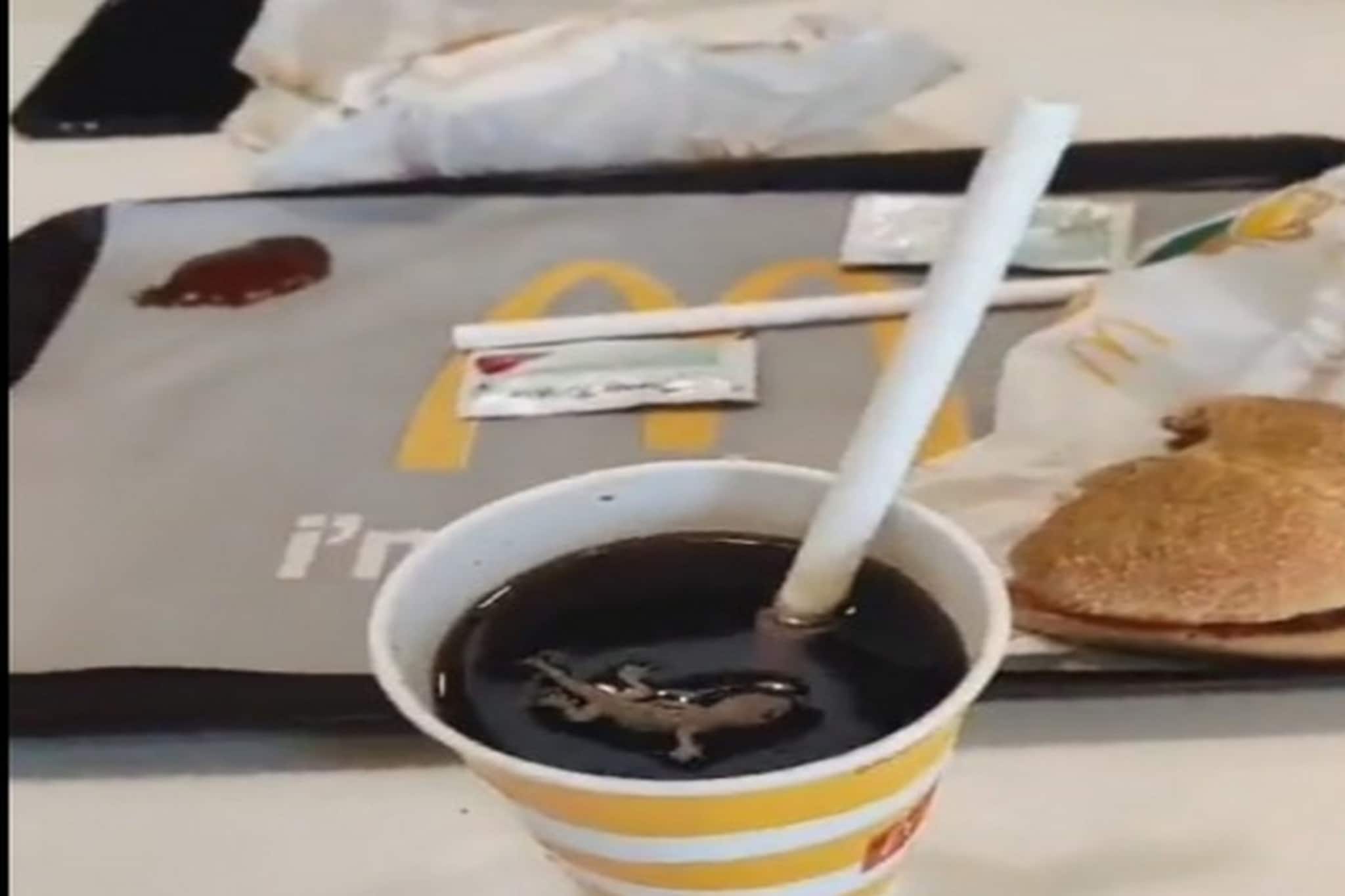 দেখুন ভাইরাল ভিডিও: জঘন্য অভিজ্ঞতা! ম্যাকডোনাল্ডসের পানীয়ে ভেসে উঠল মরা টিকটিকি!