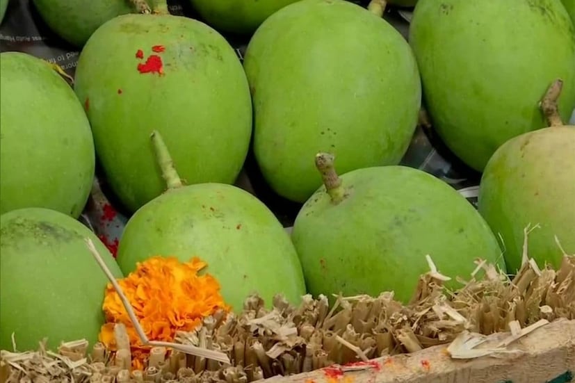 ‘আম শরীরের তাপমাত্রা বাড়ায়’ - এটা ঠিক যে, আম শরীরের তাপমাত্রার উপর প্রভাব ফেলে। আসলে আম শরীর ঠান্ডা রাখার বদলে গরম করে দেয়। আর সেই কারণেই আম খাওয়ার আগে খানিকক্ষণ জলে ভিজিয়ে রাখতে হয়।