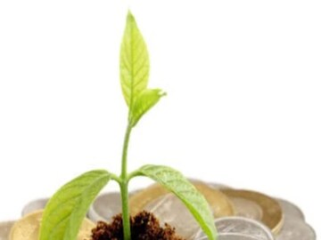 Green Fixed Deposit